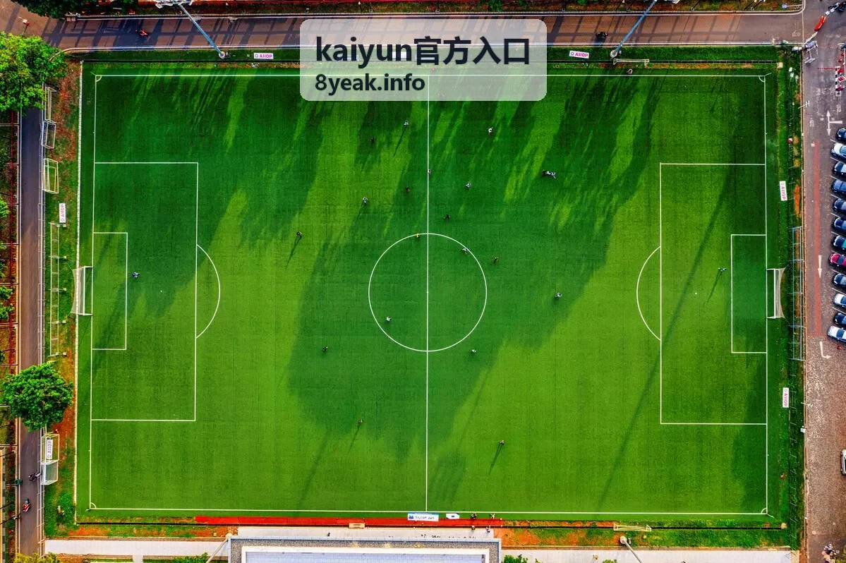 kaiyun官方入口栏目划分调整公告配图