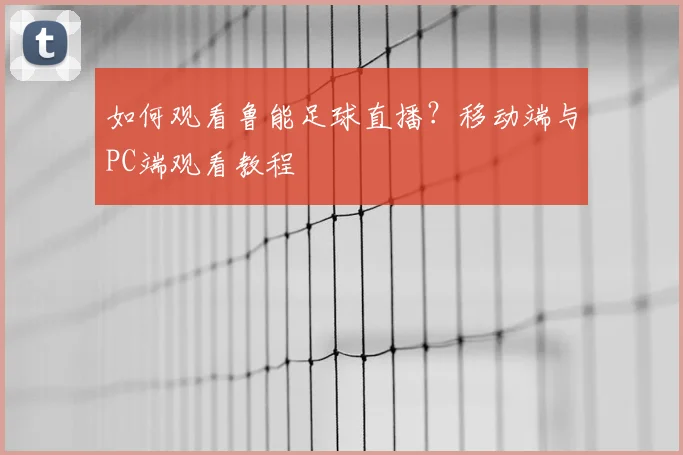 如何观看鲁能足球直播？移动端与PC端观看教程