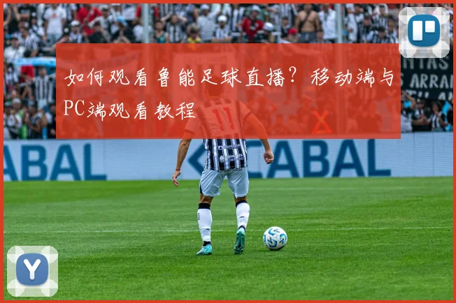 如何观看鲁能足球直播？移动端与PC端观看教程