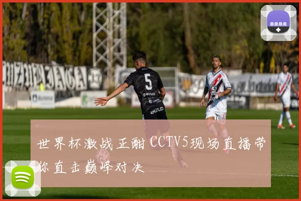 世界杯激战正酣 CCTV5现场直播带你直击巅峰对决