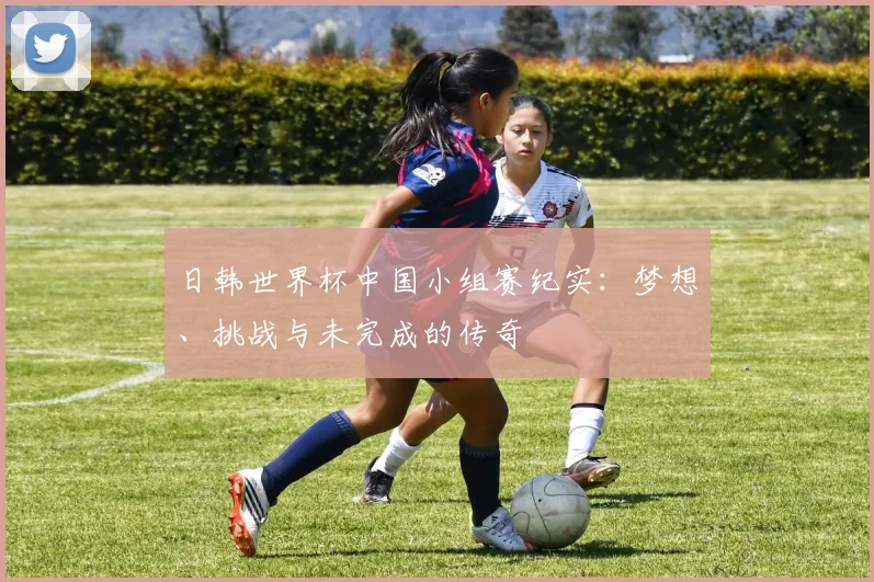 日韩世界杯中国小组赛纪实：梦想、挑战与未完成的传奇