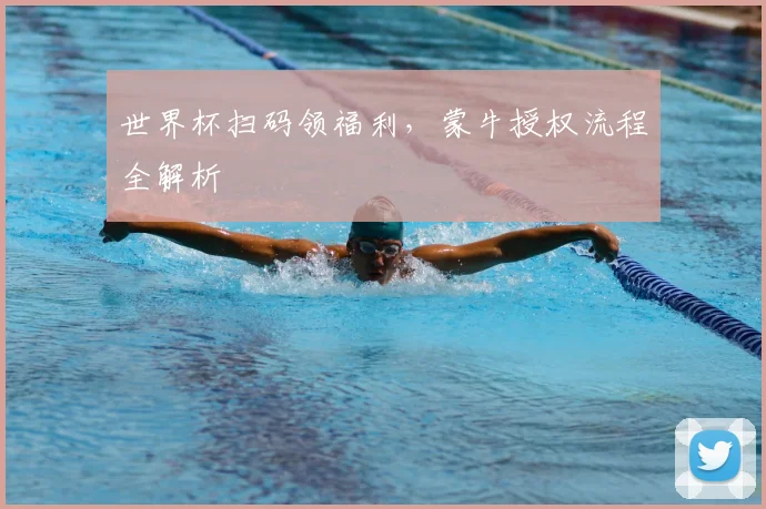 世界杯扫码领福利，蒙牛授权流程全解析