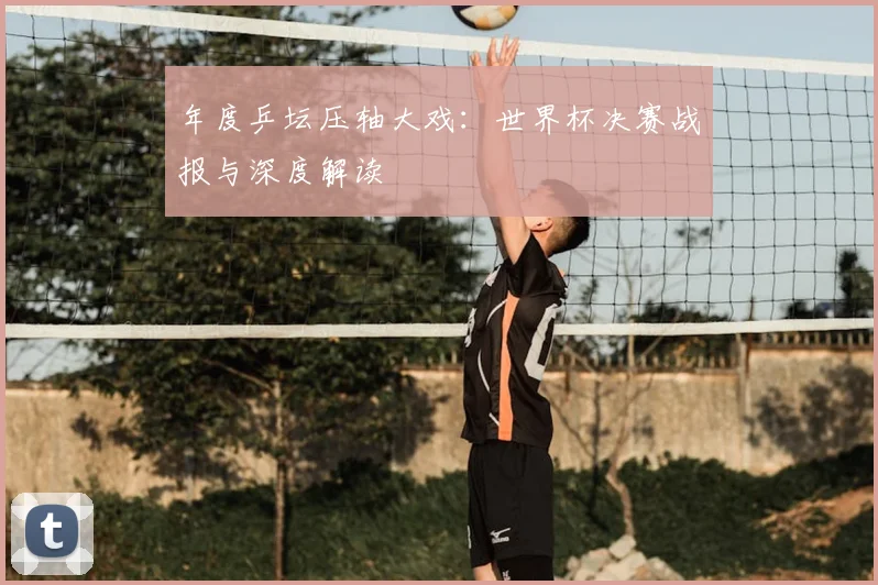 年度乒坛压轴大戏：世界杯决赛战报与深度解读
