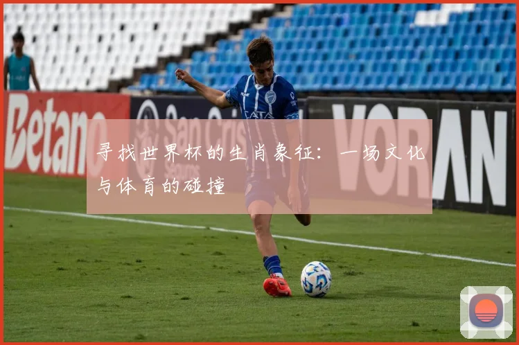 寻找世界杯的生肖象征：一场文化与体育的碰撞