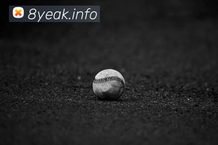 九游j9官网首页平台生态图