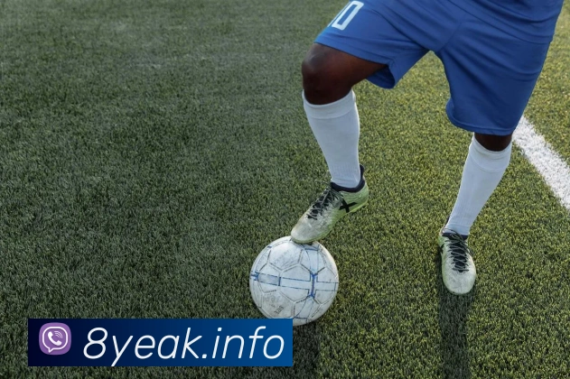 九游j9官网首页APP 封面图